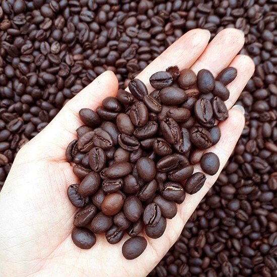 500g Cà Phê Hạt Robusta Nguyên Chất Rang Mộc .đóng túi zip (ban mê xanh store)