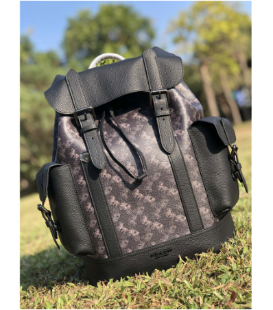 Hudson backpack with online horse and carriage print