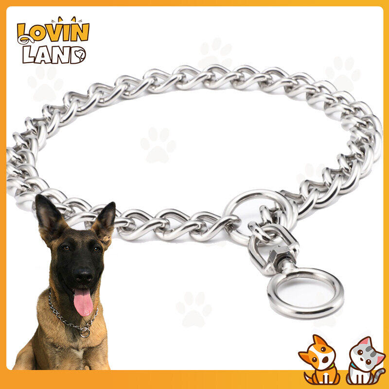 Lovinland Silvery P Chain Flat Design Slip Chain Collar Training Leads for Small Medium Large Dogs