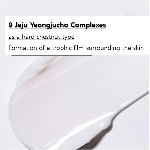 Innisfree Perfect 9 Kem Chuyên Sâu 60ML