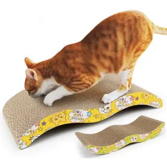 cat toys lazada