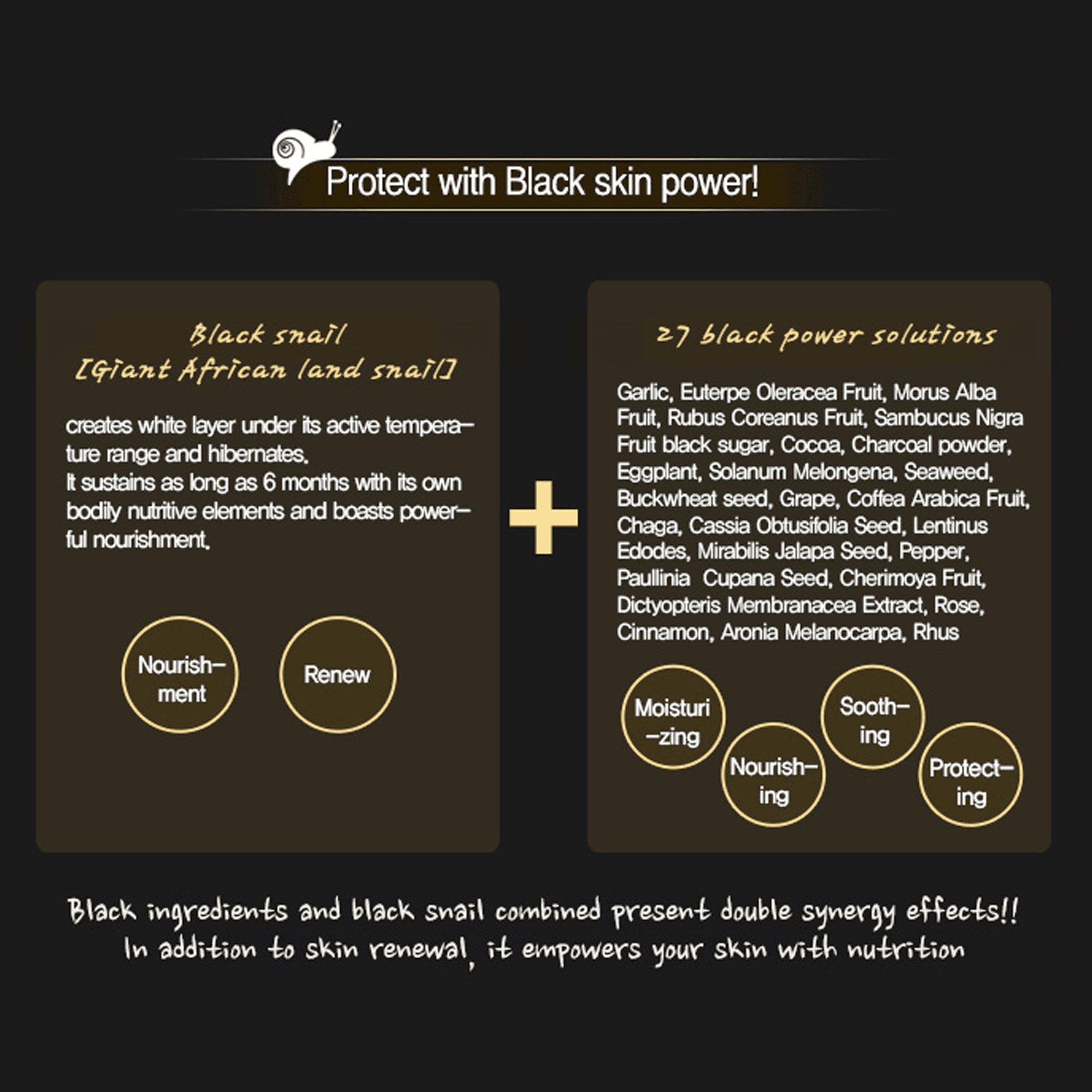 Mizon Black Snail All in One Cream - Multi-Functional Facial Skincare for Revitalized Skin, Restores Youthful Radiance, Suitable for all skin types