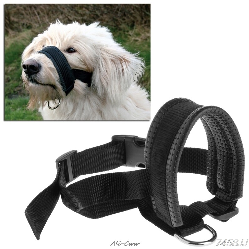canine head halter