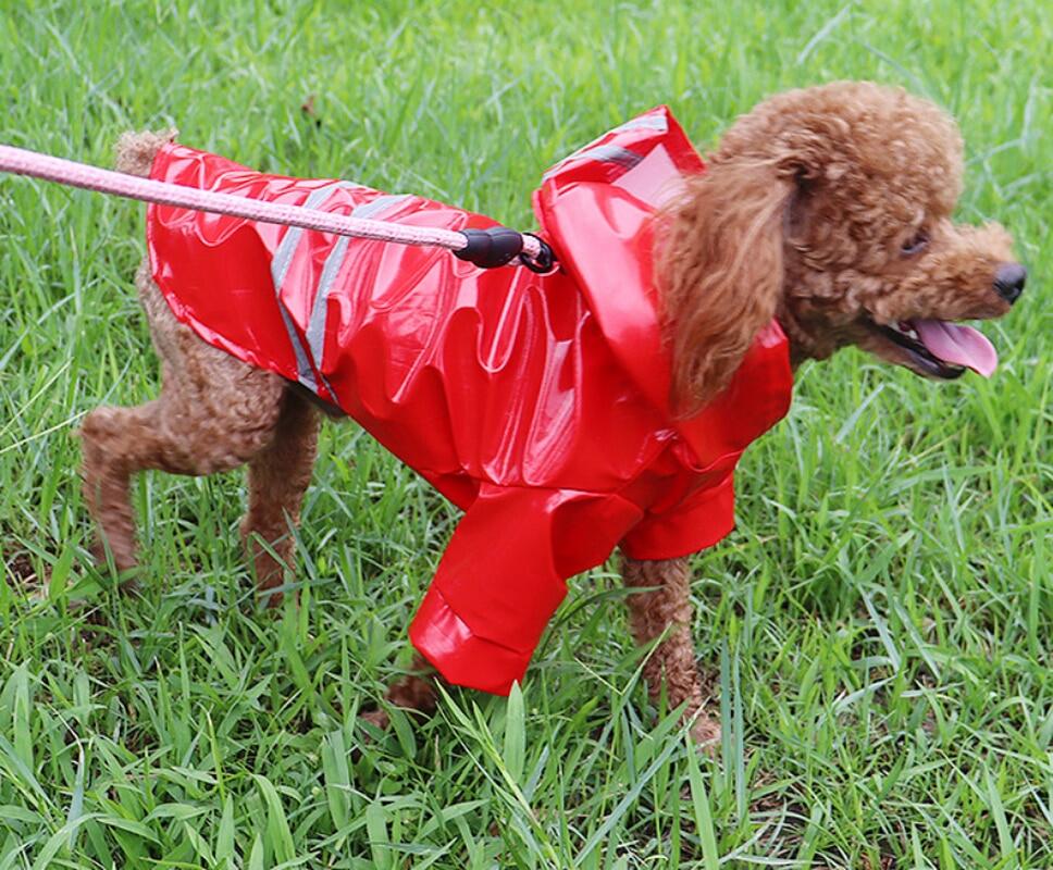 Plush Puppy Coat Rescue Pet Station plush-puppy-coat-rescue-pet-station