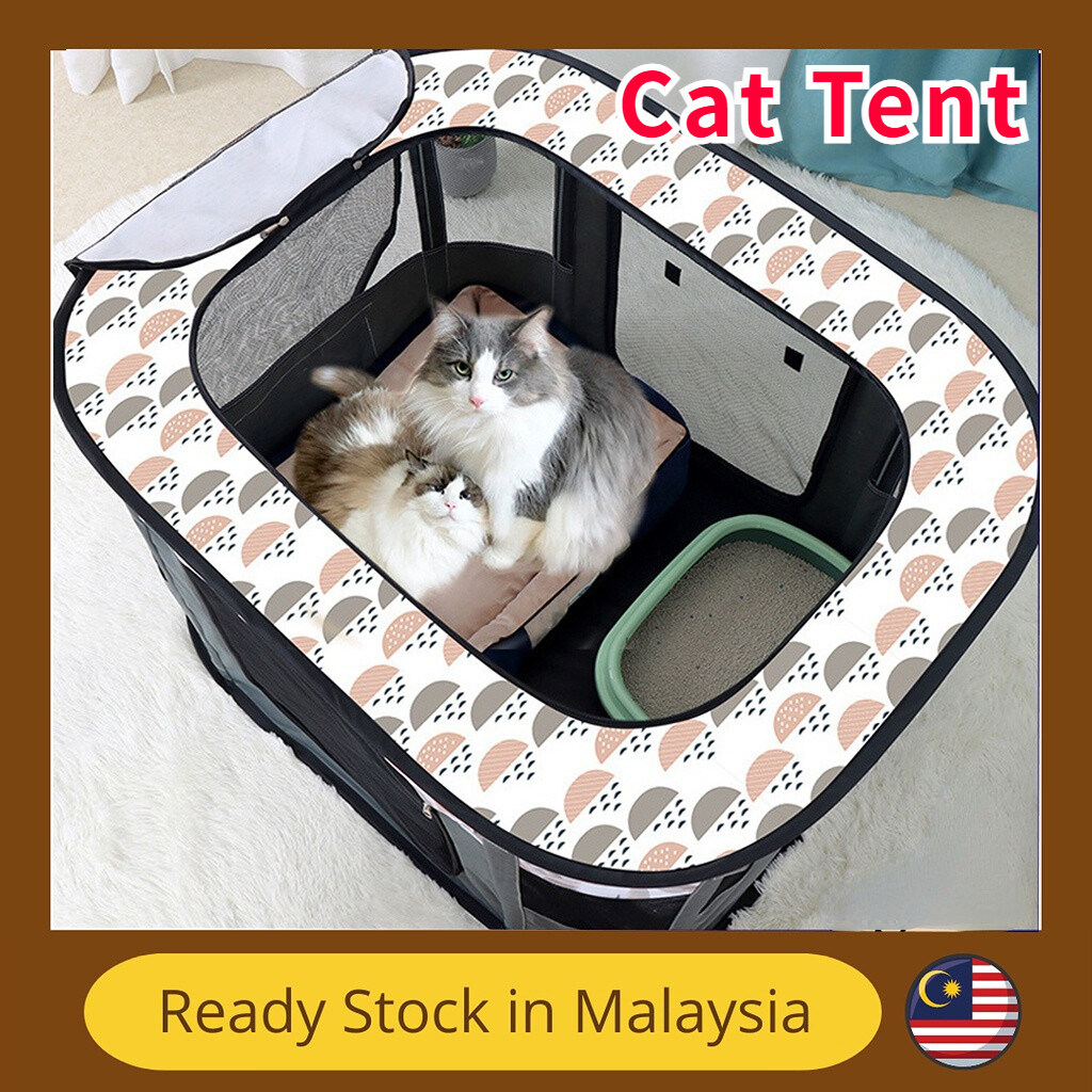 Cat tents outlet for sale