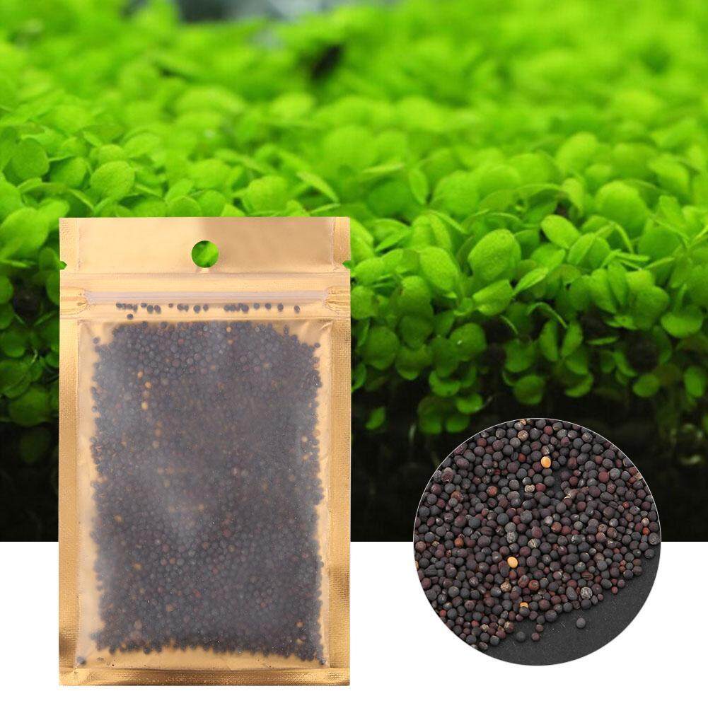10 กรัมน้ำสดกระถาง Seed ตู้ปลาแท็งก์ปลาของตกแต่งรูปหัวใจหญ้า 10g