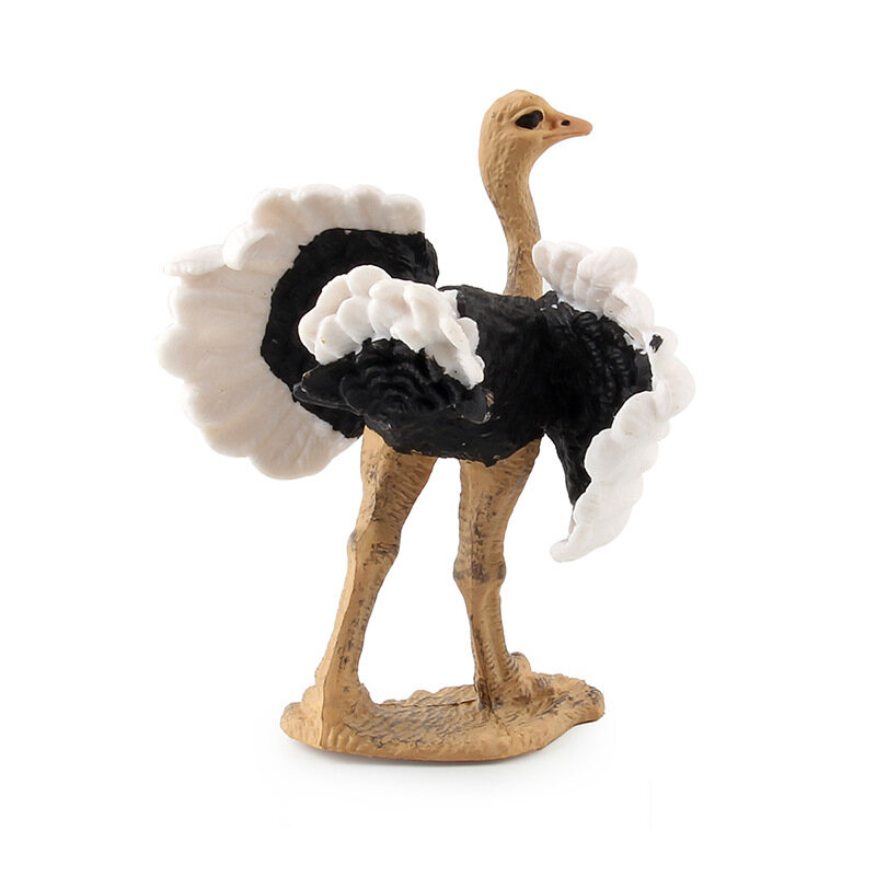 Children's Science and Education Cognitive Bird Model Simulation African Ostrich Solid Bird Farm Static Ornaments PVC Miniature Collection Toys Educational Kids Toy Toys for Boys Toys for Girls