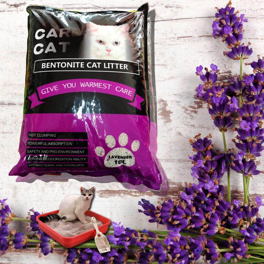 care cat bentonite cat litter