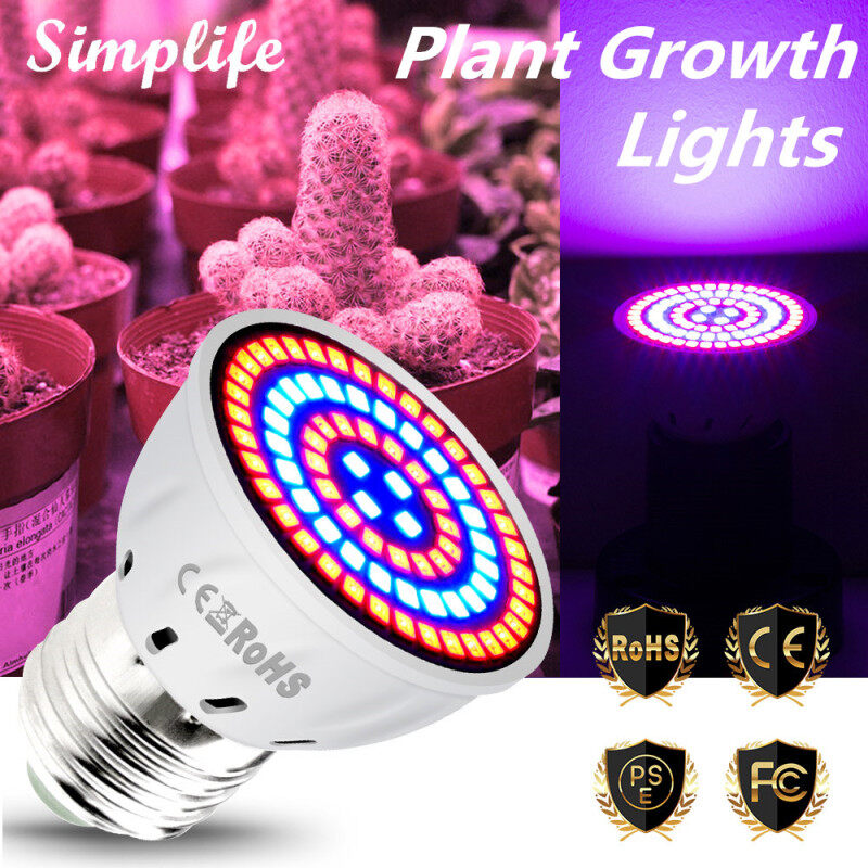 Đèn Led trồng cây simplife 220V, 60 bóng đèn LED E27 với quang phổ màu xanh đỏ, Đèn trồng cây trong nhà