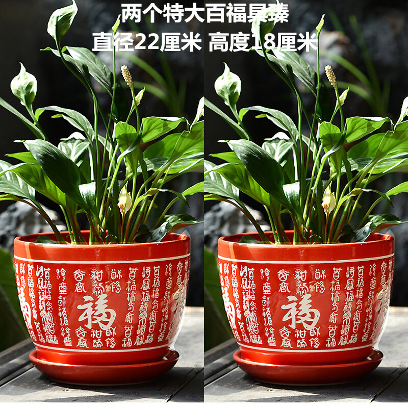 Chinese Ceramic Flower Pots With Tray Special Offer A Clearance Of Large Extra Large Red Contracted Money Plant Orchid Basin Lazada Singapore
