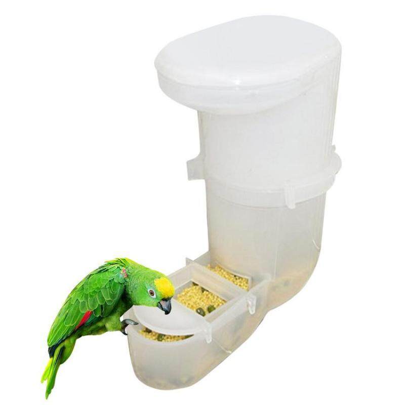 Máy Cho Chim Ăn Tự Động, Hộp Chống Phun Vẹt, Máng Thức Ăn Cho Chim Vẹt, Cốc Thức Ăn