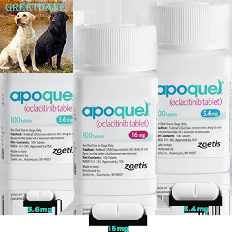 apoquel 16 mg buy online