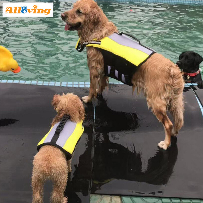 small dog buoyancy aid