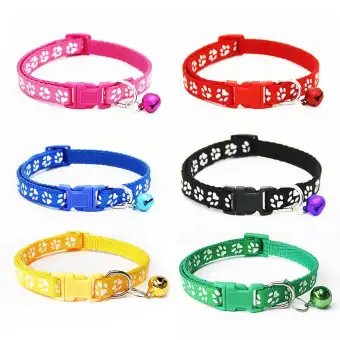 cat and dog accessories