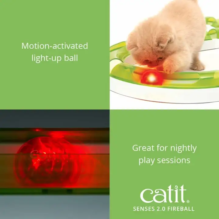 cat toy light up ball