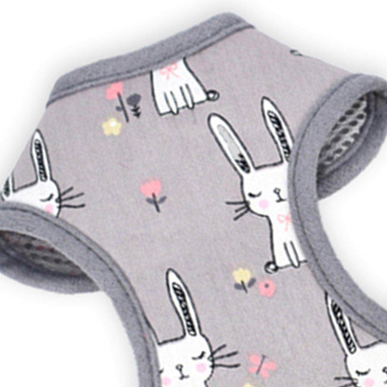 Jual Tali Tuntun Harness Anjing Jual Tali Tuntun Harness Anjing