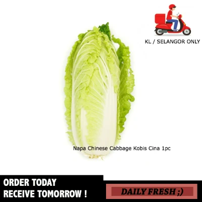Fresh Napa Chinese Cabbage Kobis Cina 1pc Fresh Vegetables