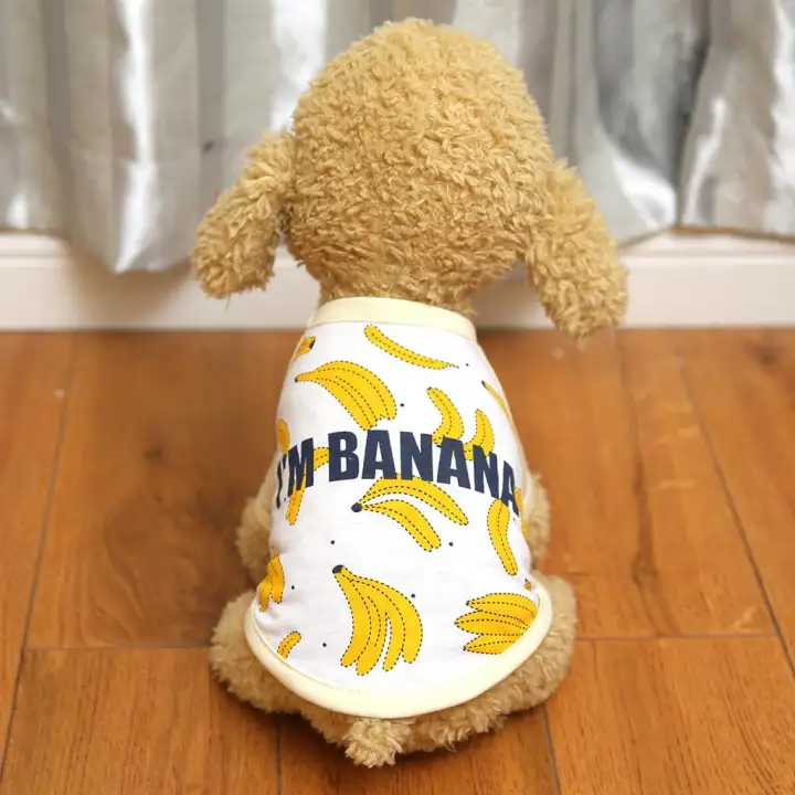 80 Gambar Lukisan Hewan Peliharaan Gratis Terbaru