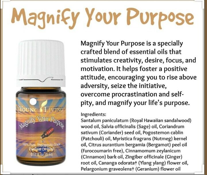 YL Young Living Magnify Your Purpose Essential Oil 5ml | Lazada