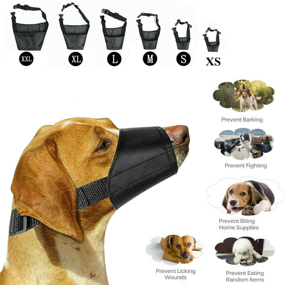 Dog Nylon Safety Dog Muzzle For Small Dogs Breathable Dog Muzzle Barking Pet Muzzles Dog Muzzles For Anti Biting