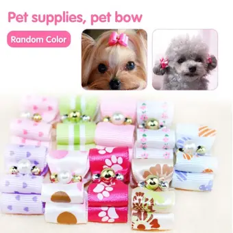 pet store accessories