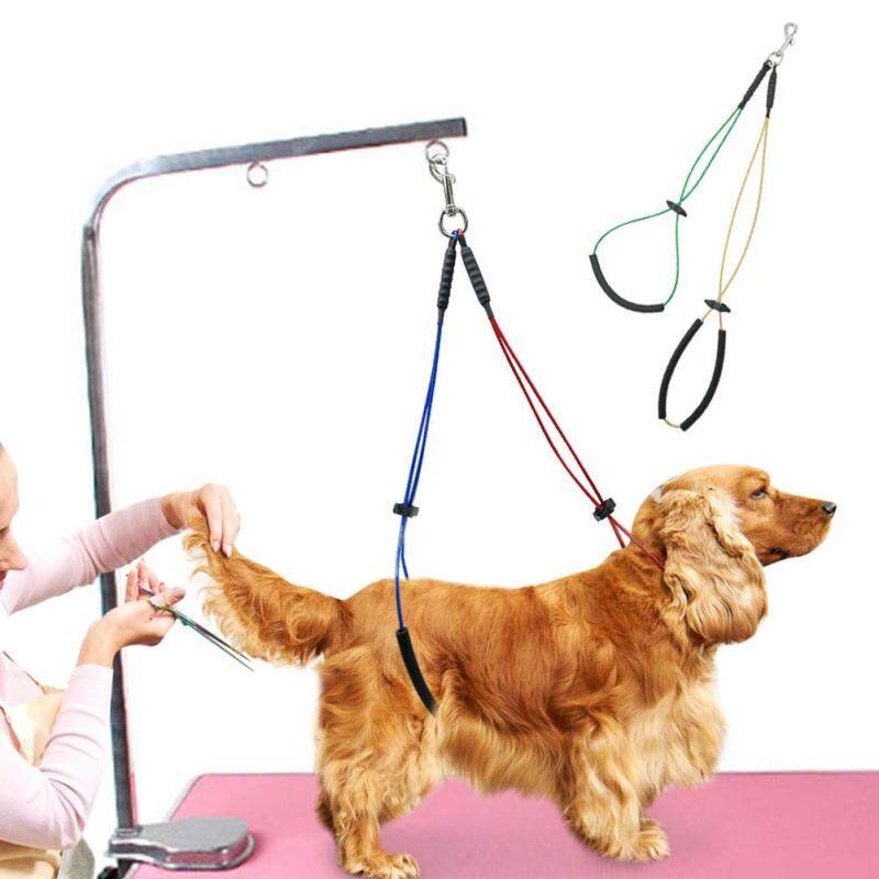 Không-Ngồi Haunch Giá Đỡ Chó Mèo Dụng Cụ Làm Đẹp Chải Lông Vòng Nơ Xinh Dây Dây Thép Không Gỉ Kiềm Chế Thòng Lọng Cho Phượt Thủ bàn 20E