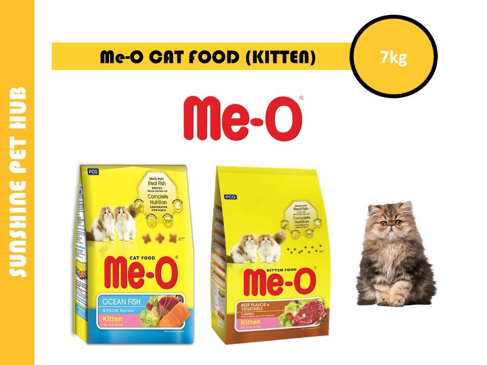 Dry food kitten terbaik best sale