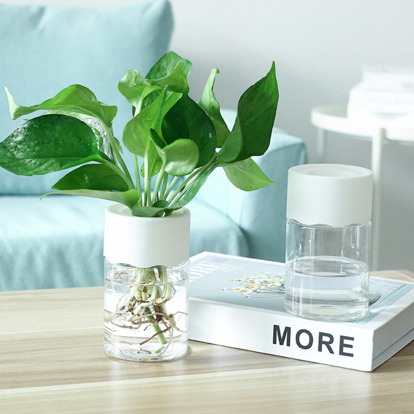 Transparent Hydroponic Flower Pot Water Planting Vase Container Plastic Tabletop Plants Bonsai Home Decoration