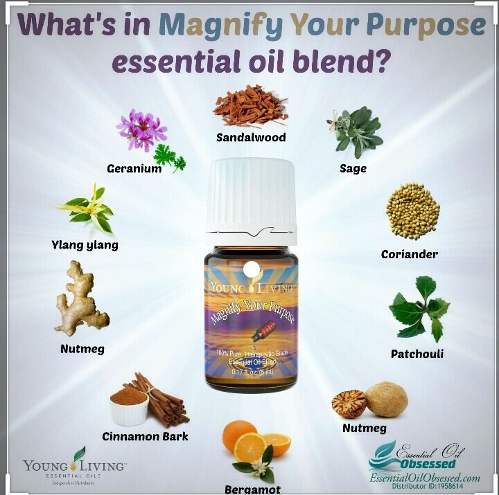 YL Young Living Magnify Your Purpose Essential Oil 5ml | Lazada