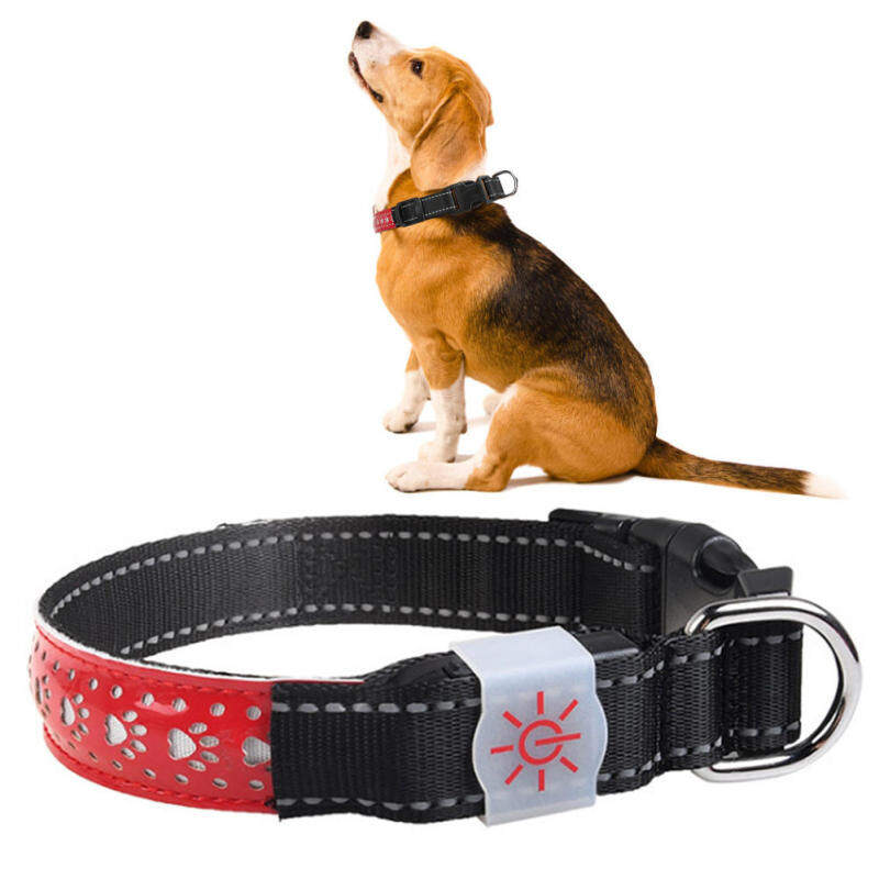 Maelovi LED Pet Phát Sáng An Toàn Có Thể Điều Chỉnh Cổ Áo Sạc USB Cho Mèo Chó Nhỏ L Mã Đỏ