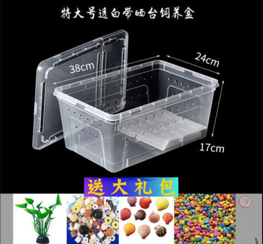 Plastic small tortoise tank with terrace landscaping small pet turtle ...