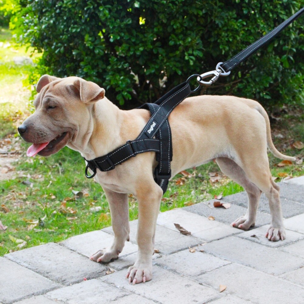large dog harness no pull