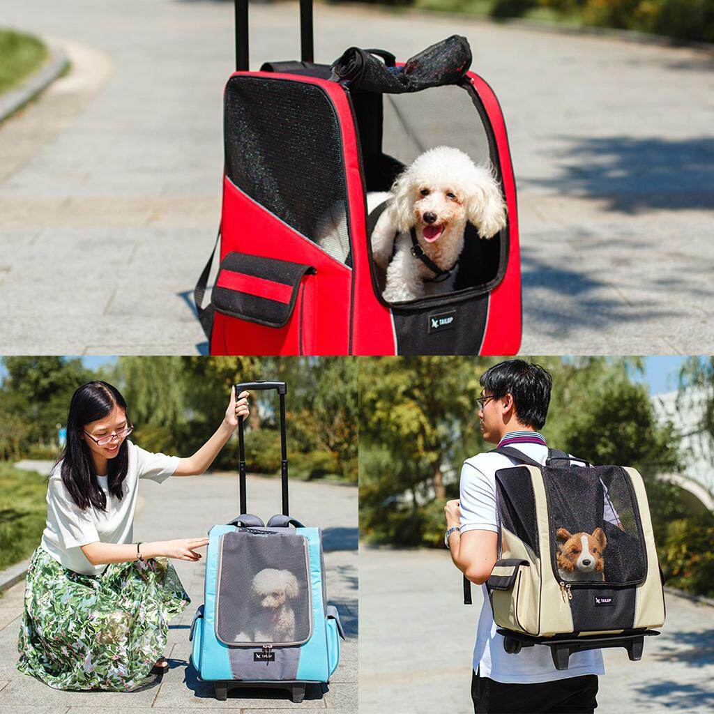 dog carrier lazada