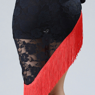 Fringed Triangle One Skirt Skirt Latin Dance Dress Costume For Women