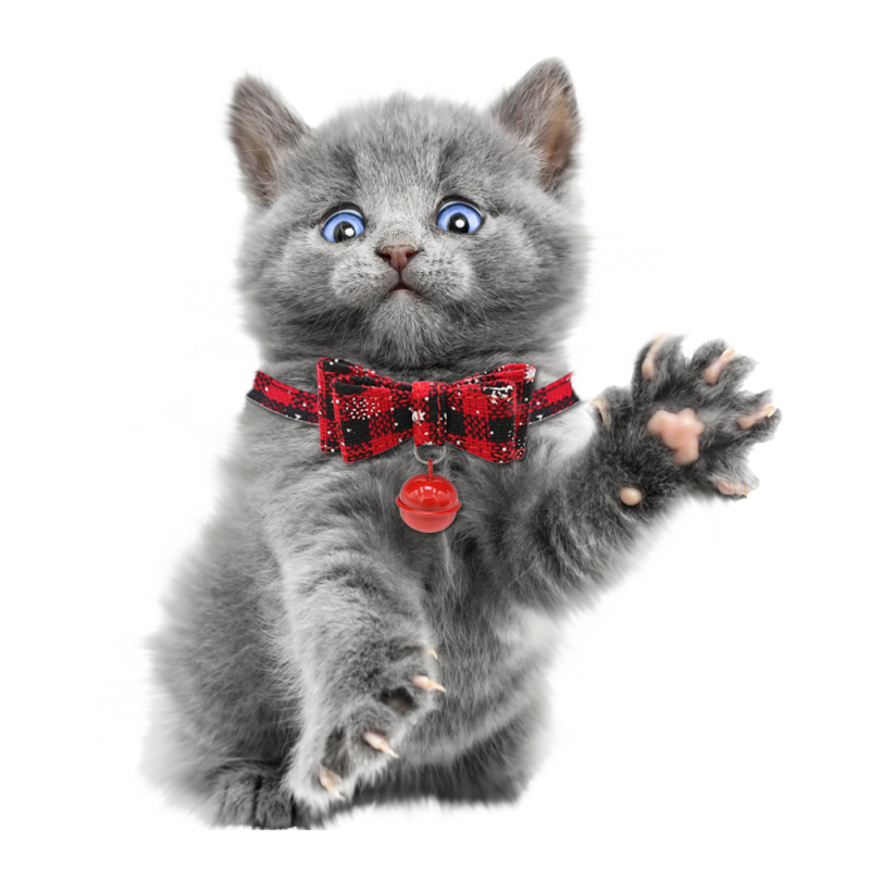 Lễ Hội Chuông Đồng Mèo Cổ Dây Halloween Ribbon Bow Pet Cổ Áo Giáng Sinh Chó Cổ Áo
