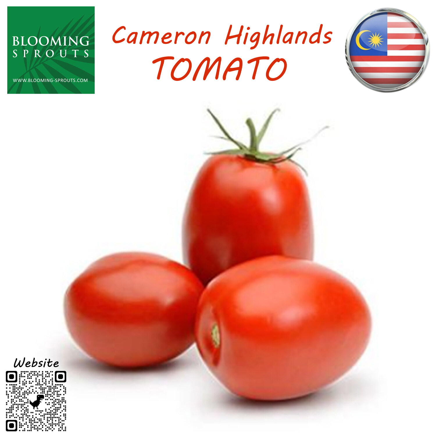 Tomatoes Buy Tomatoes At Best Price In Malaysia Www Lazada Com My Tomatoes Buy Tomatoes At Best Price In Malaysia Www Lazada Com My