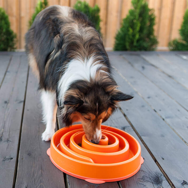 Cool Extreme Dog Bát Thức Ăn Chậm Chống Nghẹt Thức Ăn Lật Ngược Bát Cho Chó Bát Cho Chó Lớn Chó Lớn Bát Thức Ăn Cho Mèo Bát Thức Ăn Họa Tiết Cún Cưng Chống Nghẹt Thở, Chống Ói, Chống Đầy Hơi, Nhai Chậm