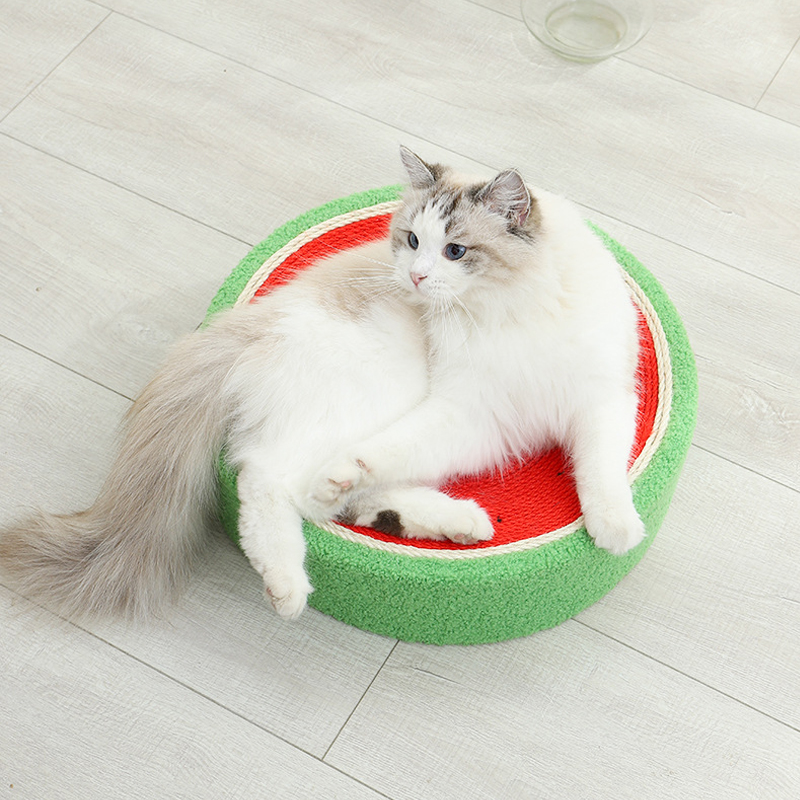 Tấm Cào Móng Cho Mèo Đồ ChơI Mèo Cào Móng 40CM