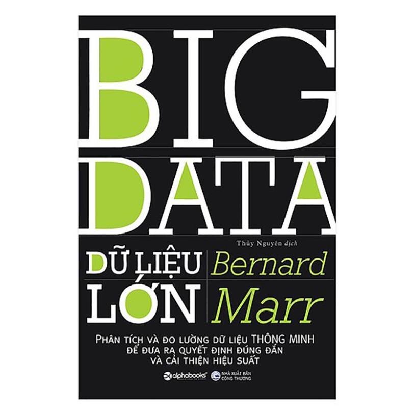 Sách - Dữ Liệu Lớn (Big Data) [Alphabooks]