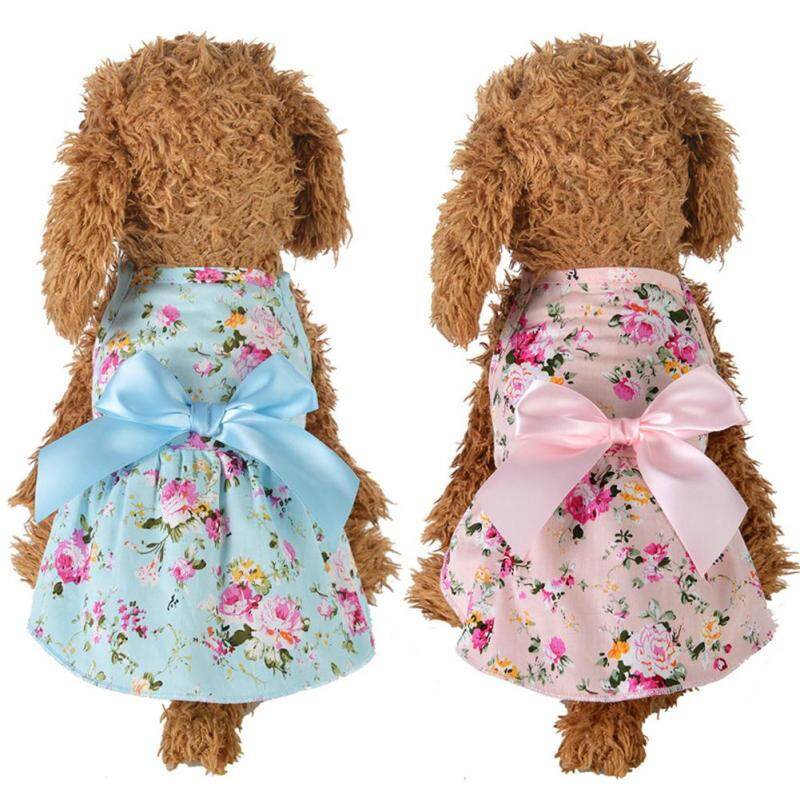dog cute clothes