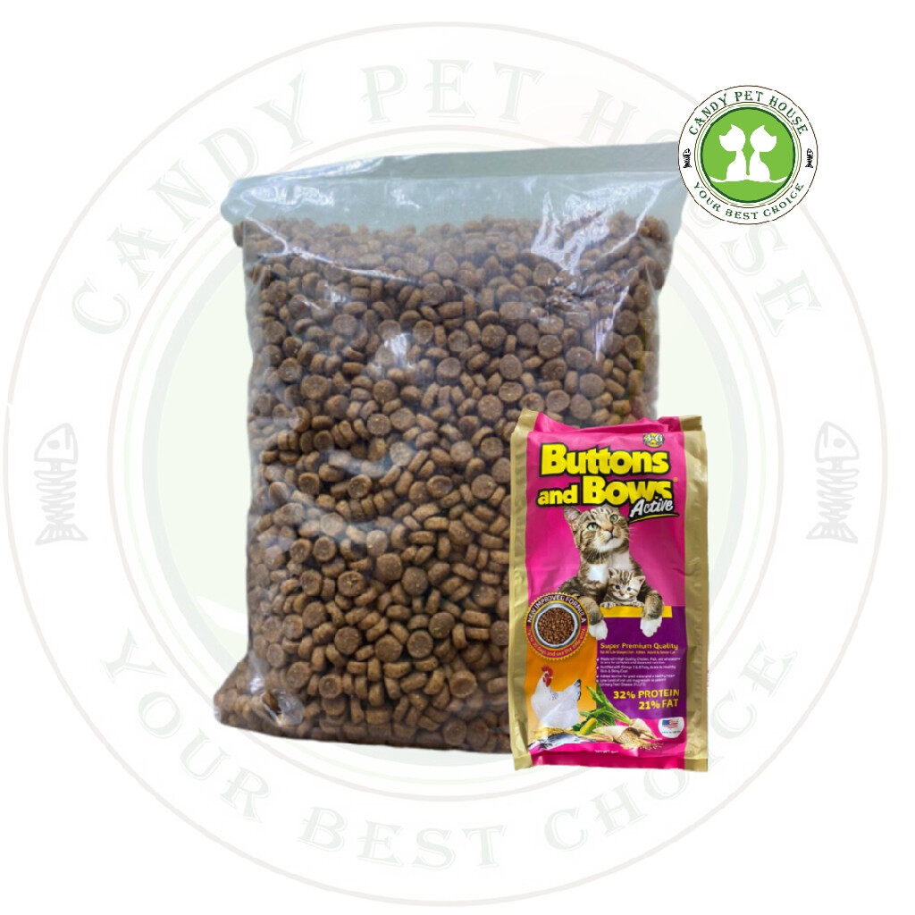 button and bows kitten