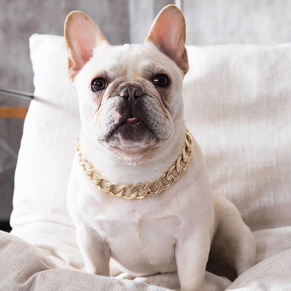 Collars for dogs Pitbull Bulldog adjustable trainer aixuexi-Intl