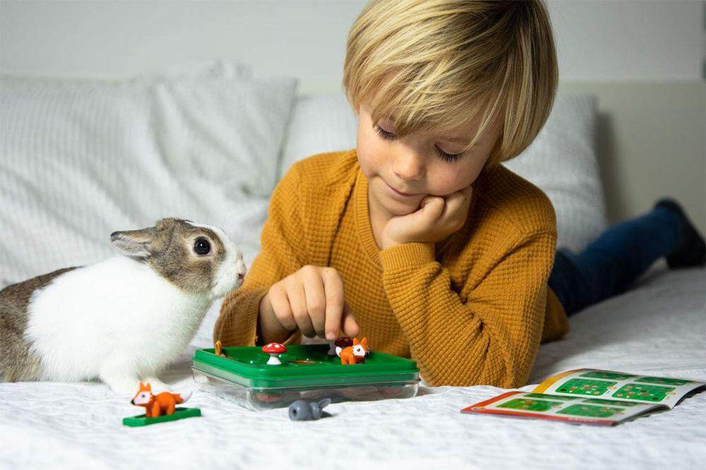 Smart game Jumping Rabbit Board Games Bảng Thỏ Nhảy Trò Chơi Thông Minh Trò Chơi Thỏ Chạy Thử Thách 60 Với Giải Pháp Trò Chơi Tương Tác Gia Đình Đồ Chơi Huấn Luyện IQ