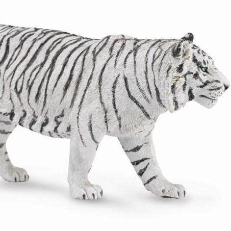 CollectA White Tiger