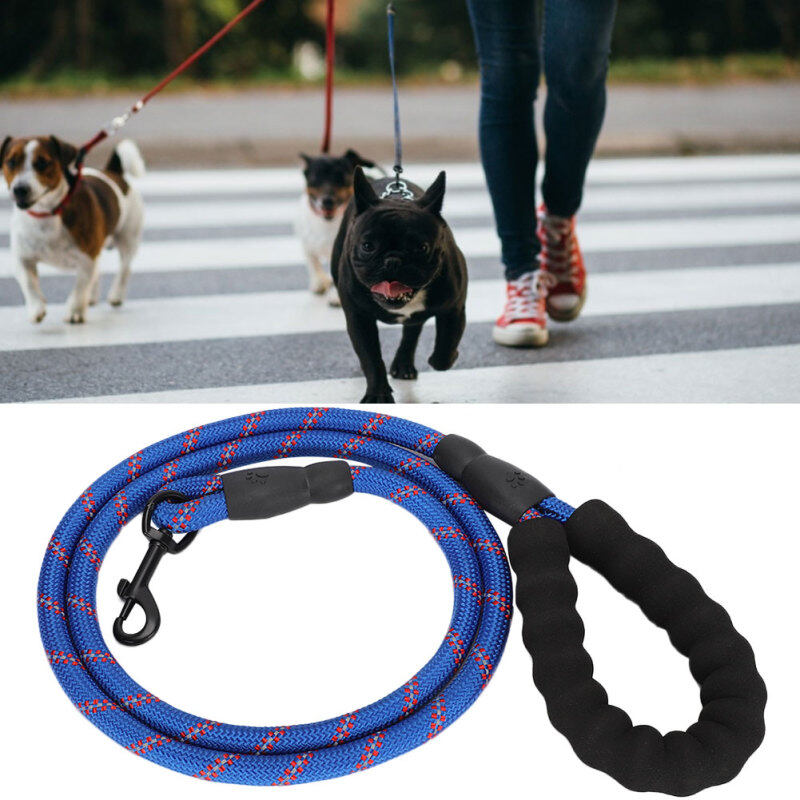 Maelovi Blue Petdog Dây Kéo Phản Quang 153 Cm/60,2in Chiều Dài Dây Xích Bằng Vải Ni-lông Với Khóa Kim Loại Màu Xanh