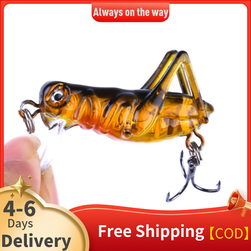 3.5cm 3g Lure Bionic Artificial Cricket Fishing Bait 5 Colors Simulation  Grasshopper Sea Fishing Lure Insect Fake Bait