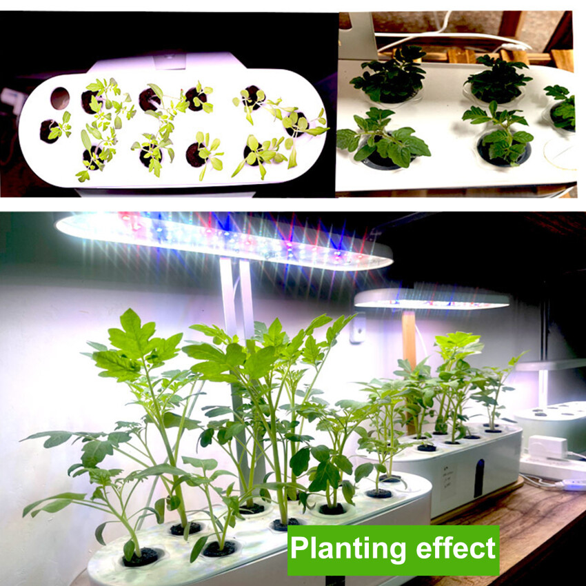 50Pcs Growing Sponge Seed Germination Pod Replacement Root Growing Sponge Kit Supplemental Pod Hydroponic Indoor Garden Planting