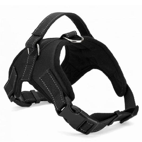 Pet Dog Cat Adjustable Harness With Leash Reflective Breathable For Small Large Dog Harness Vest Pet Supplies
