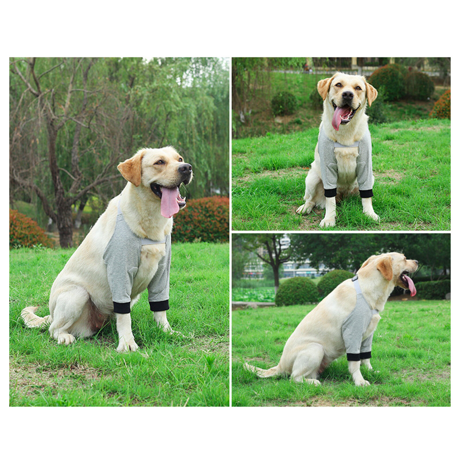  Cosiki Dog Elbow Brace Protector, Spring Webbing Dog Recovery  Front Legs Sleeve Soft Comfortable Polyester for Pet for Arthritis (S) :  寵物用品