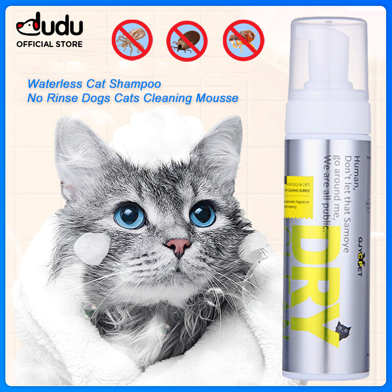 Can i use waterless cat shampoo on my outlet dog